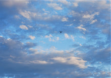 Load image into Gallery viewer, A bird flying in a blue, cloudy sky
